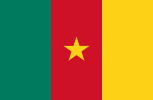 Flag of Cameroon